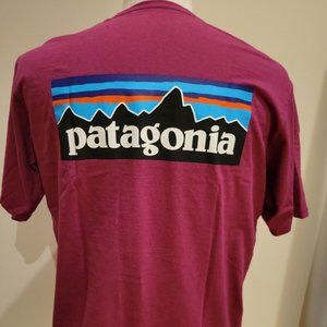 PATAGONIA P-6 Responsibili-Tee T-Shirt - Cool Color - *HP*